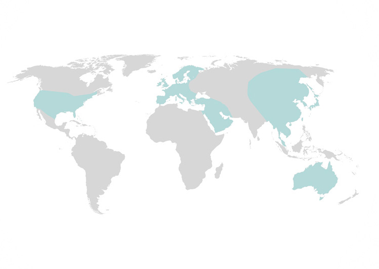 ATAPS map of countries where Michael has provided training in